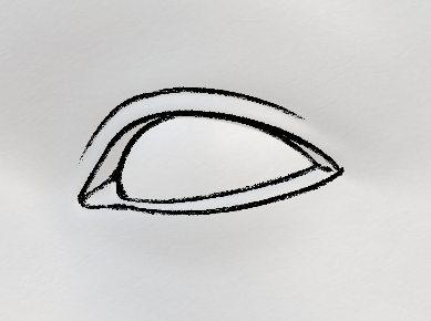 A drawing of the eye, overlaid on top of the 3d render.