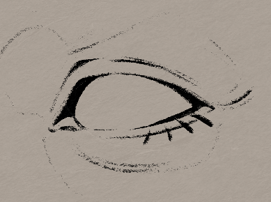 An ink brush drawing of the eye.