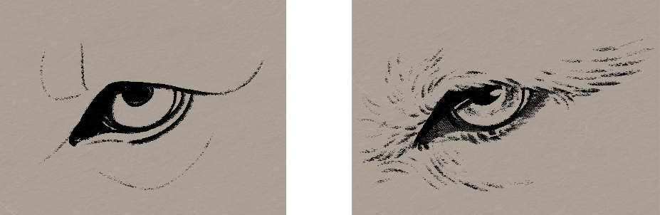 Two drawings of a wolf's eye, one drawn showing just the contours with smooth lines, and the other with the texture of the fur and iris drawn and emphasised with rough marks.